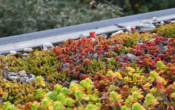 the cost of Braigh Na H Aoidhe green roof installation