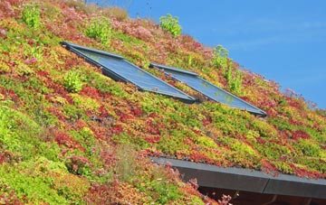 Braigh Na H Aoidhe living roof systems